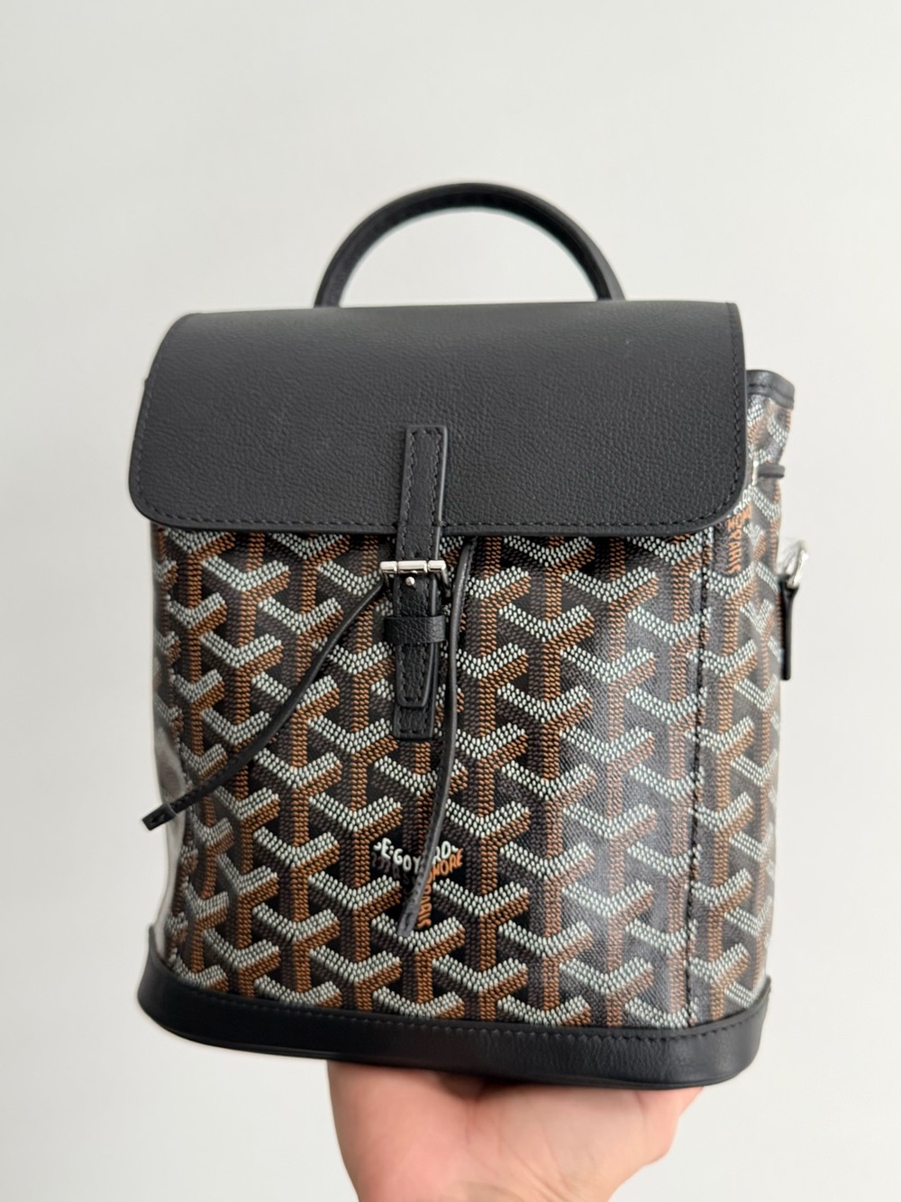 Goyard Alpin Mini Backpack Black Brown Goyardine Leather Trim - Missing Straps - Picture 5 of 8